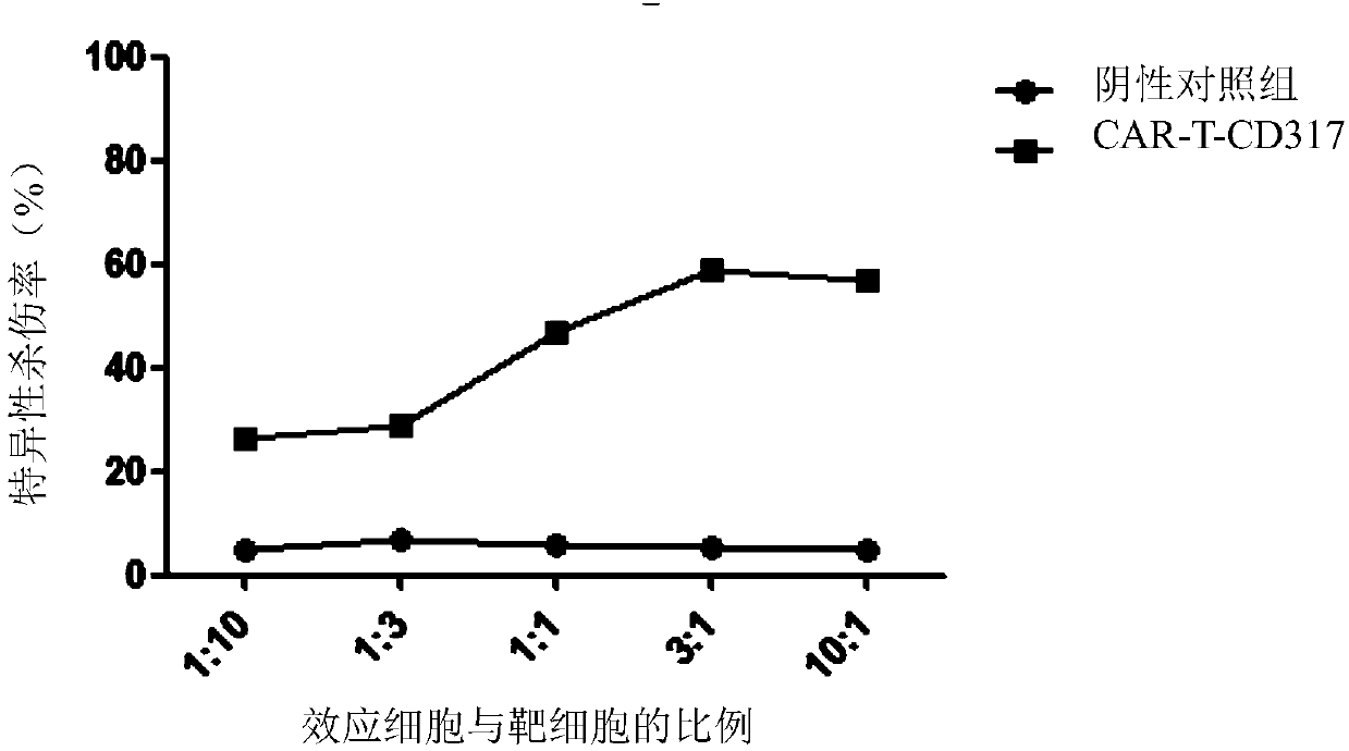 Single-chain antibody targeting CD317, chimeric antigen receptor T cell, preparation method and application thereof