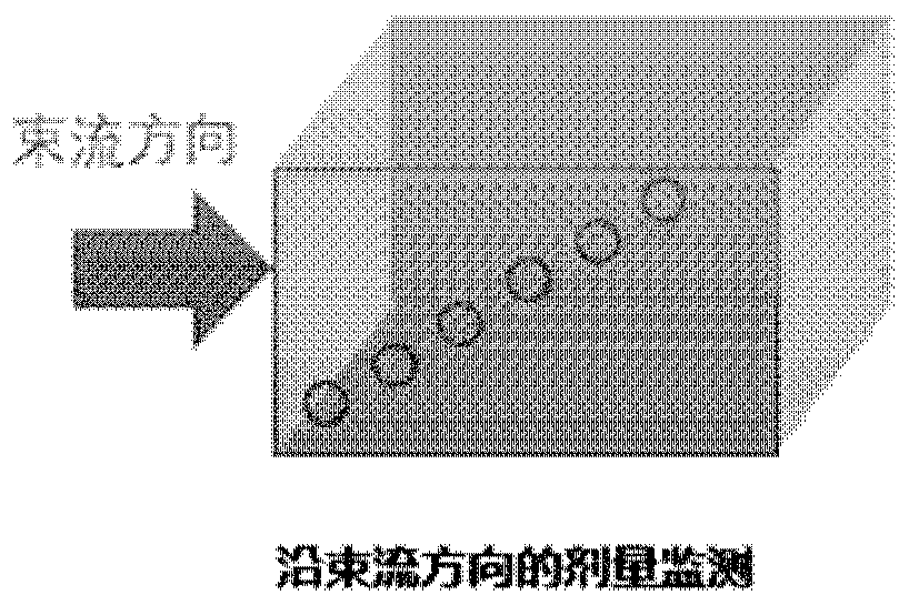 Hypoxic cell irradiation device