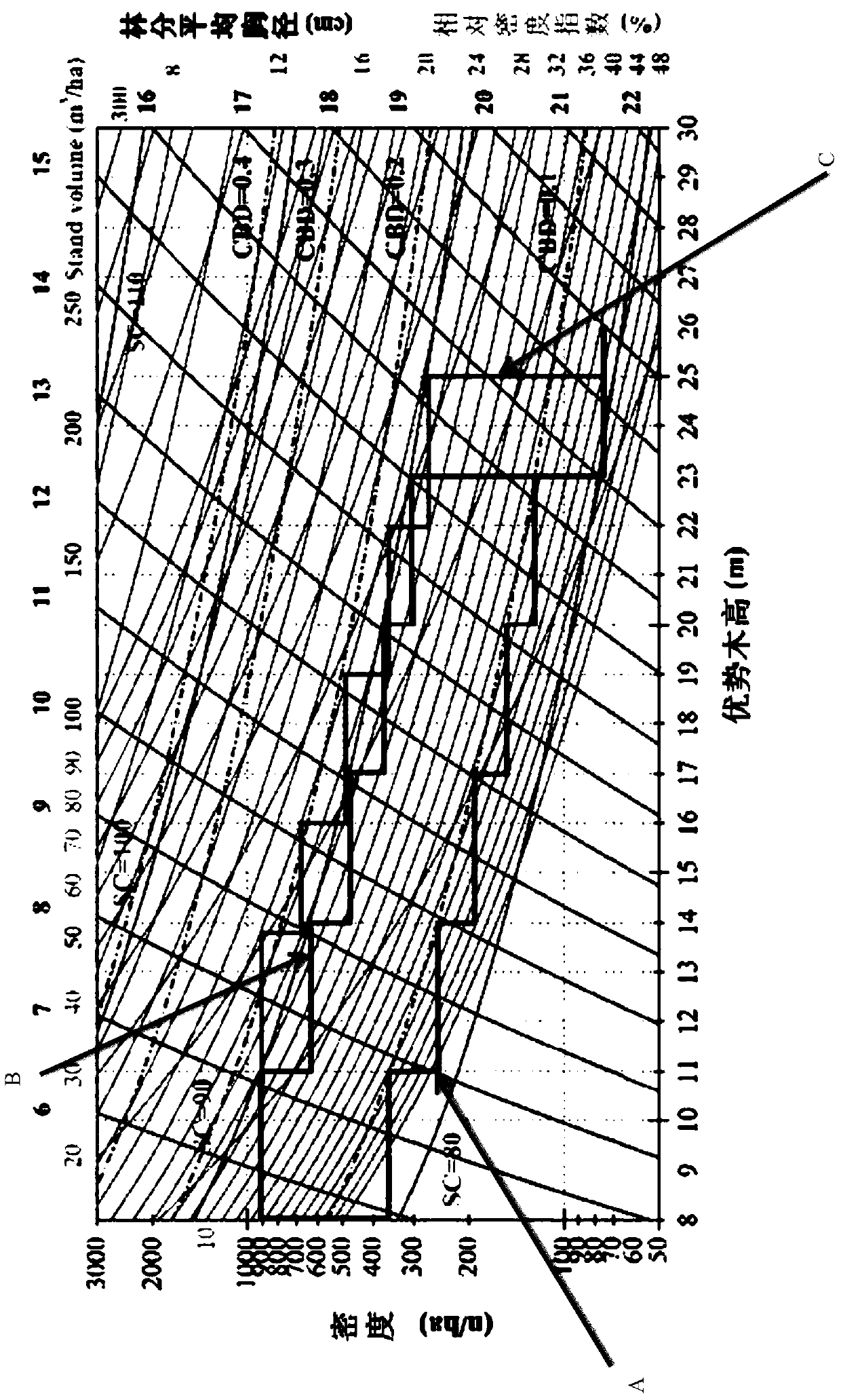 Disaster prevention and control method for Chinese fir plantation