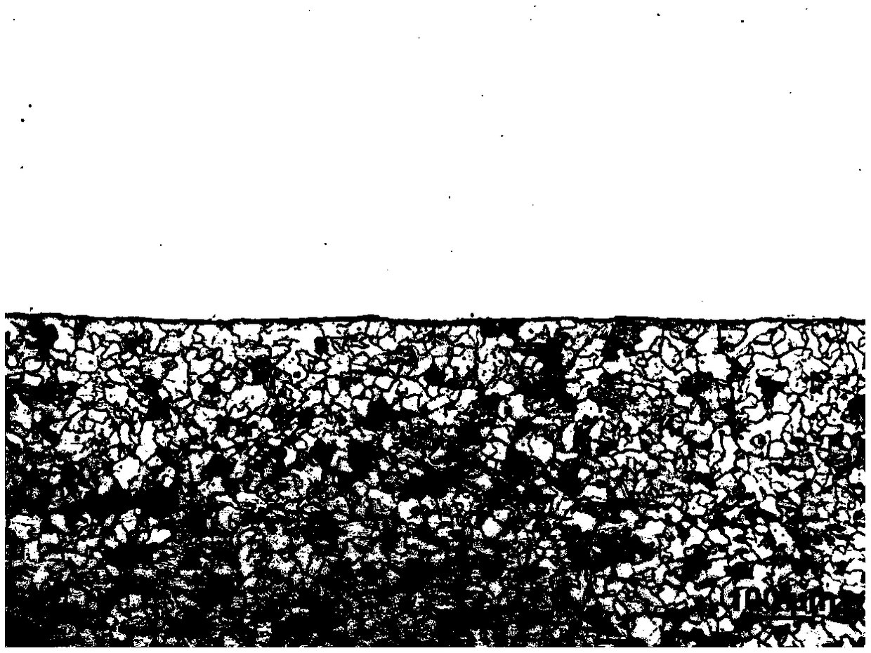 TMCP type marine austenitic stainless steel composite plate and preparation method thereof