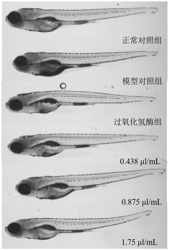 Method for evaluating anti-aging efficacy of cosmetics