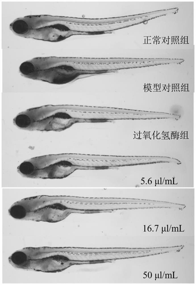 Method for evaluating anti-aging efficacy of cosmetics