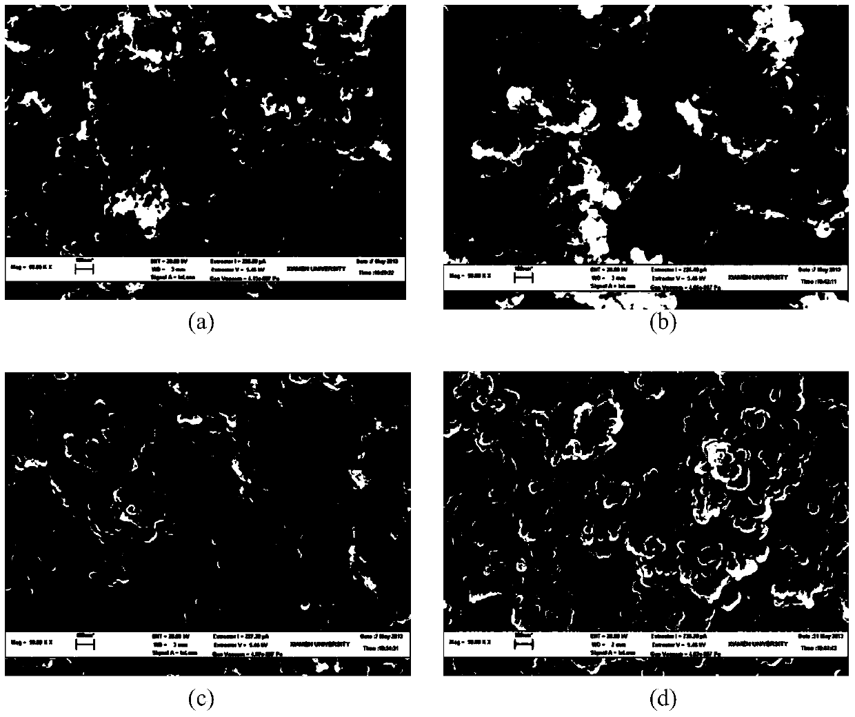 Magnetic heterocyclic amine molecularly imprinted polymer and preparation method thereof