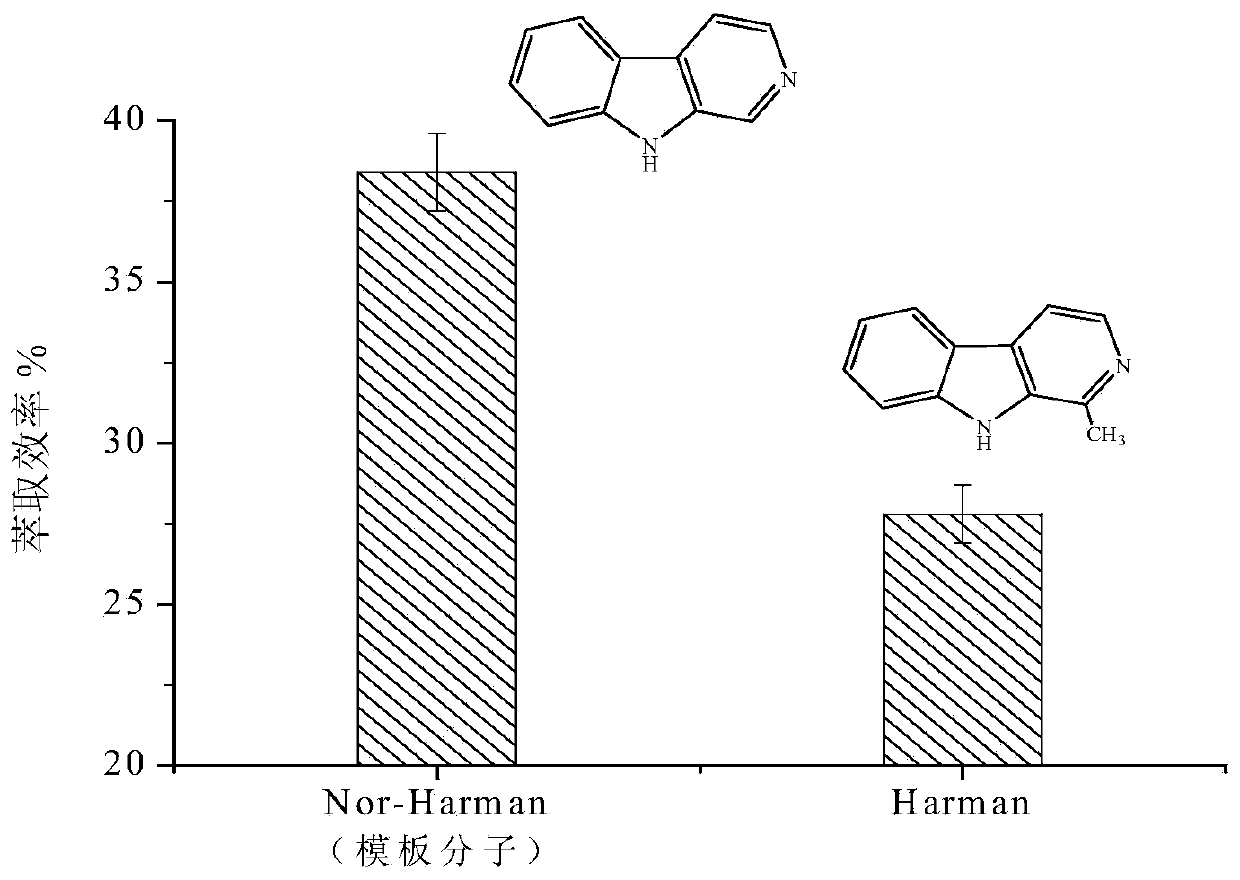 Magnetic heterocyclic amine molecularly imprinted polymer and preparation method thereof