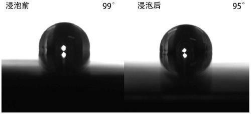 Fluorine and silicone copolymerization modification amphiphilic acrylate polymer anti-corrosive paint and preparation method thereof