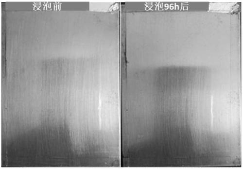 Fluorine and silicone copolymerization modification amphiphilic acrylate polymer anti-corrosive paint and preparation method thereof