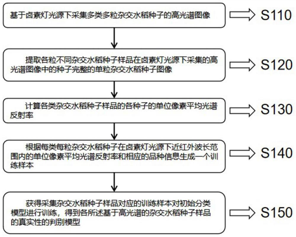 Single hybrid rice seed variety identification method based on hyperspectrum