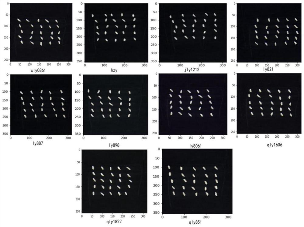 Single hybrid rice seed variety identification method based on hyperspectrum