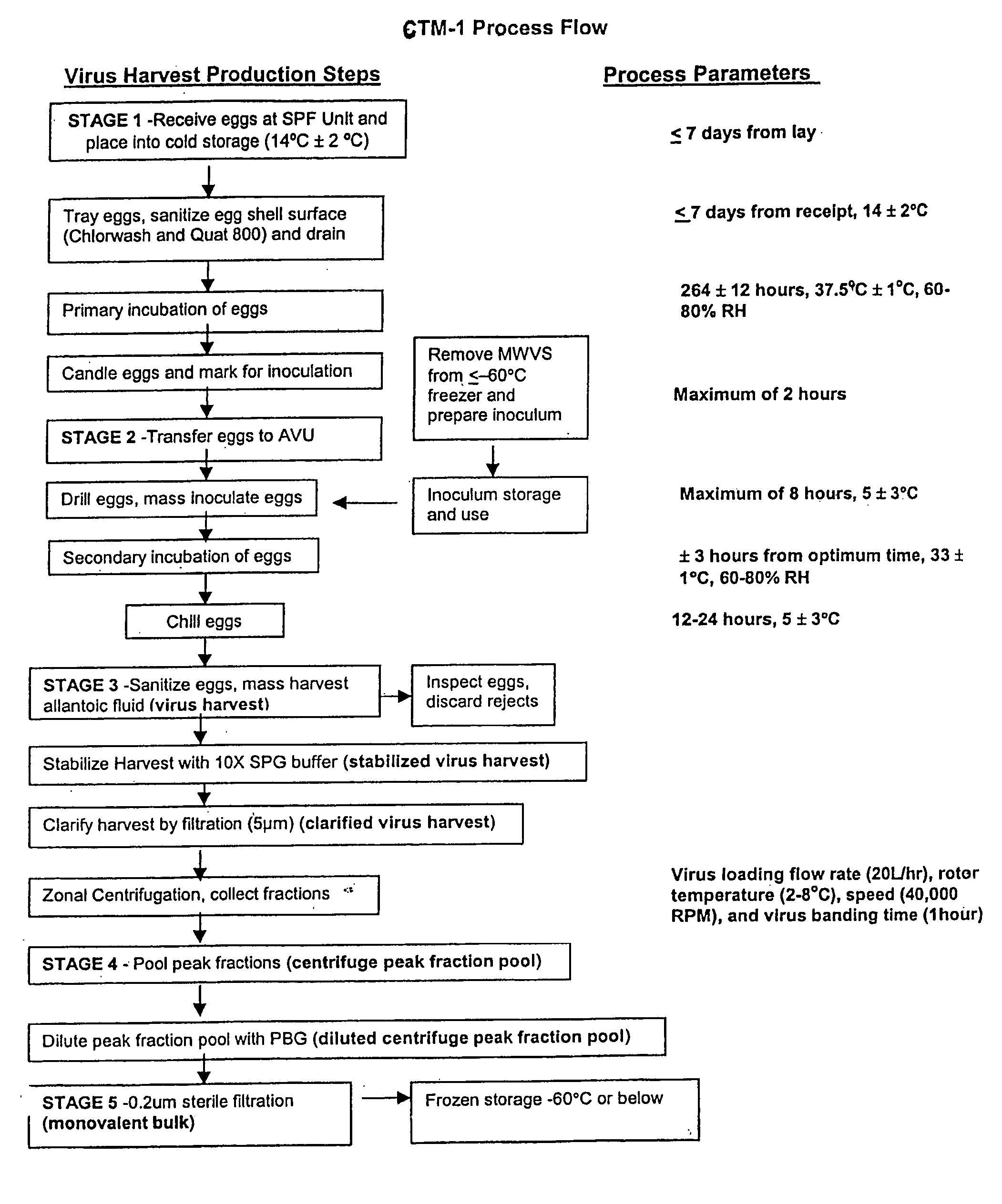 Refrigerator-temperature stable influenza vaccine compositions