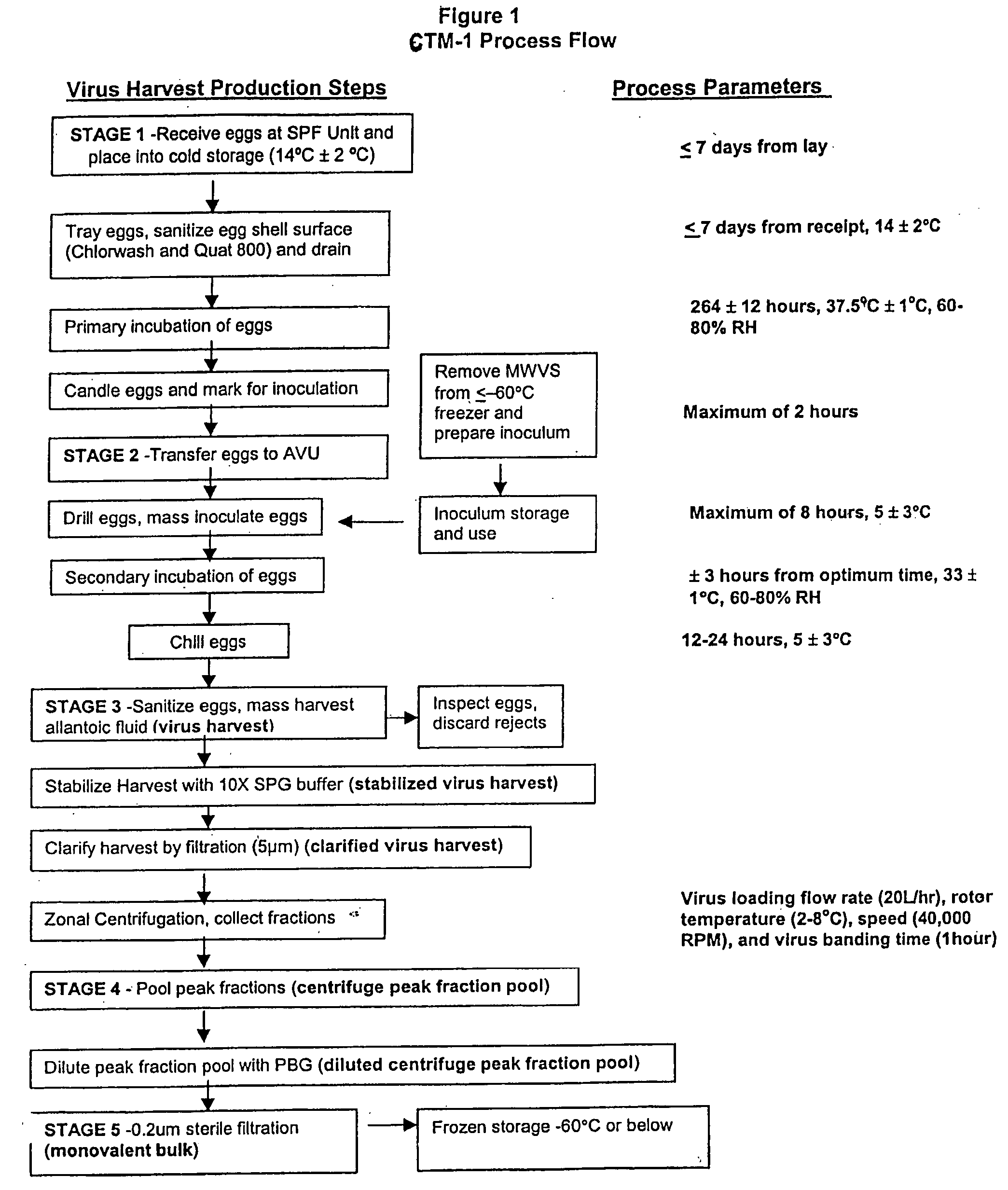 Refrigerator-temperature stable influenza vaccine compositions