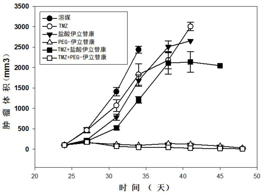 Antitumor pharmaceutical composition and application thereof