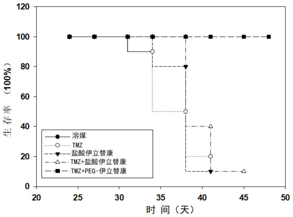 Antitumor pharmaceutical composition and application thereof