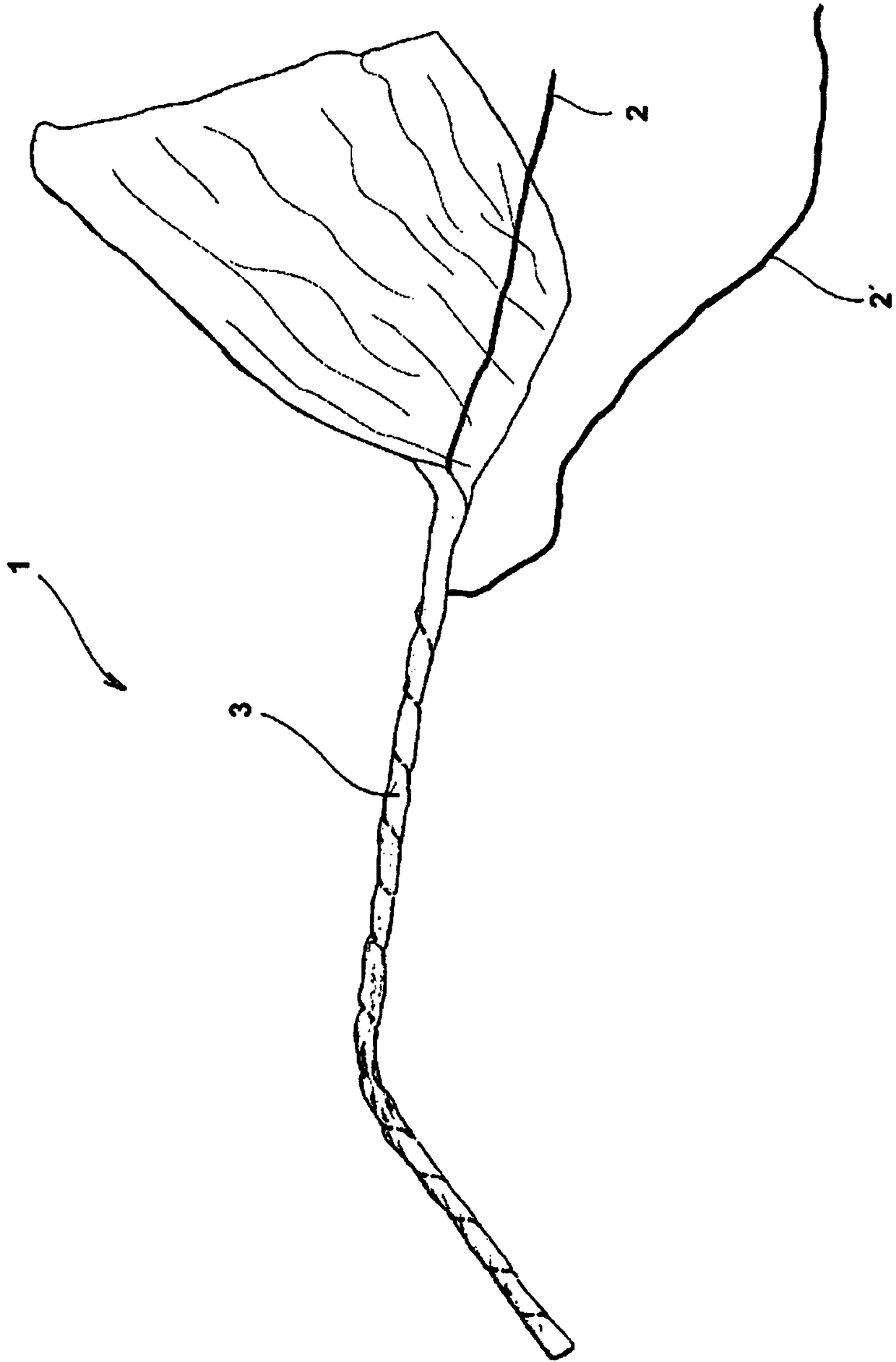 Electric cable detecting presence of liquids