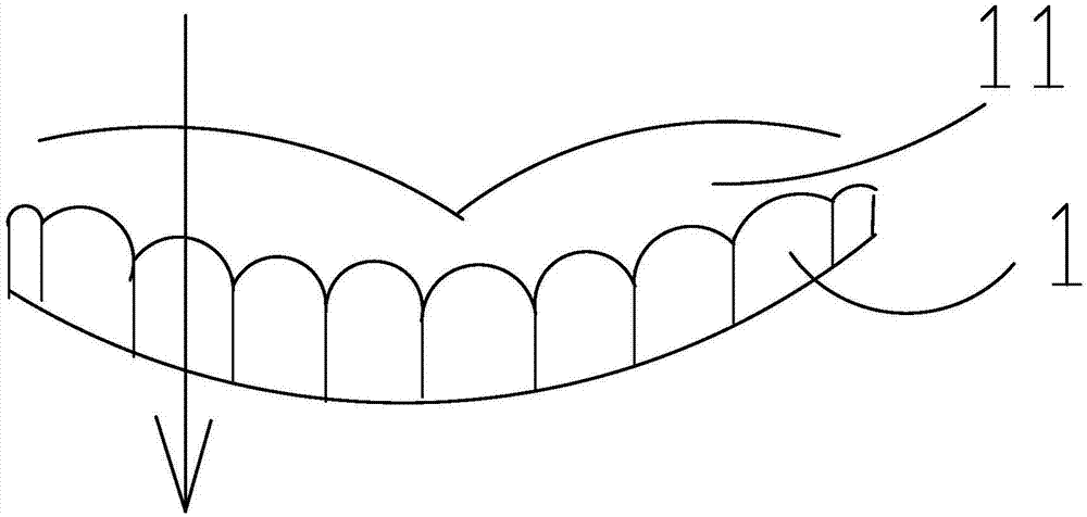 Aesthetic health care method for cleaning and protecting whole teeth and gingiva