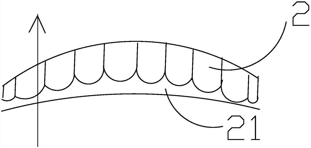 Aesthetic health care method for cleaning and protecting whole teeth and gingiva