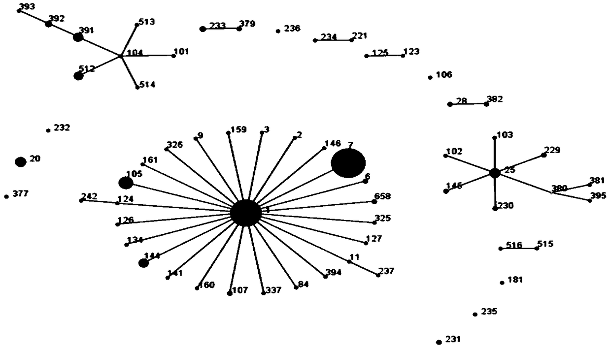 A kind of streptococcus suis type 2 10 gene deletion strain and its application