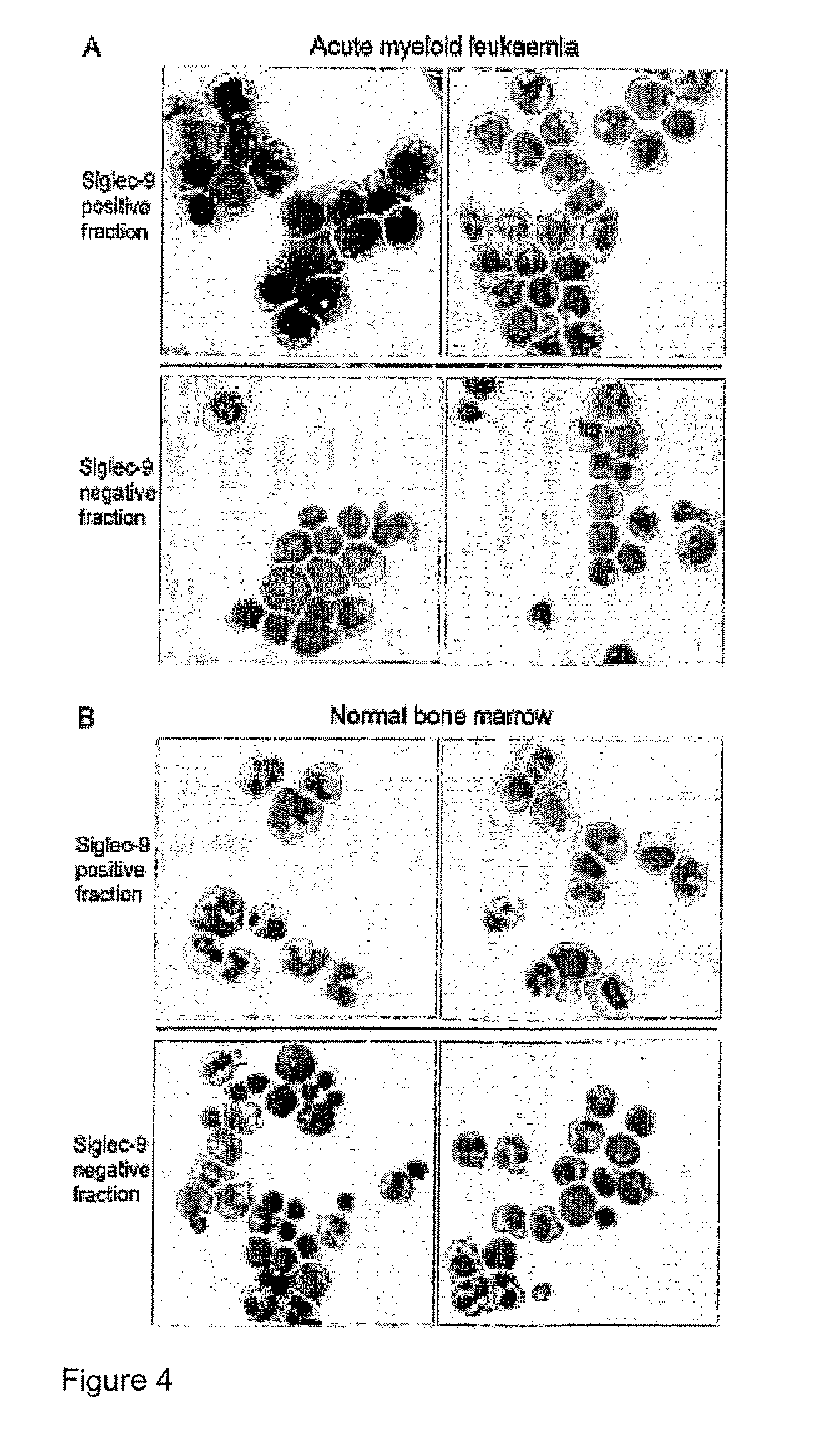 SingleC-9 Binding Agents