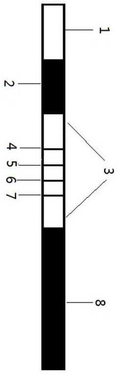 Fluorescent quantitative test strip capable of simultaneously detecting three mycotoxins as well as preparation method and application of fluorescent quantitative test strip