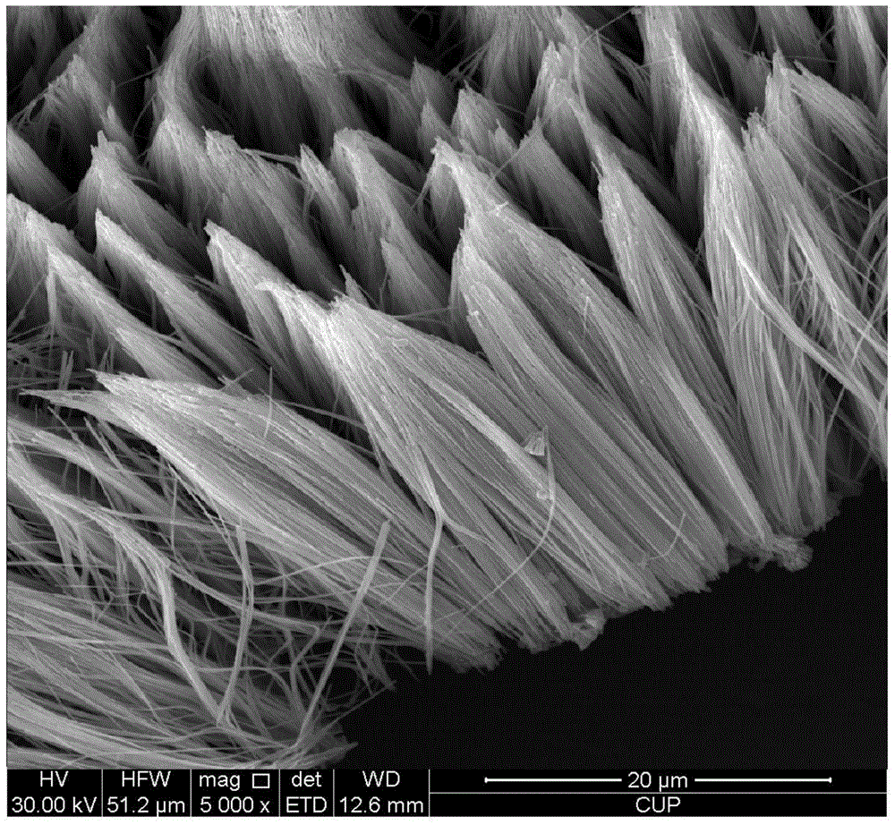 CuO/Ni core-shell nanowire and preparation method thereof