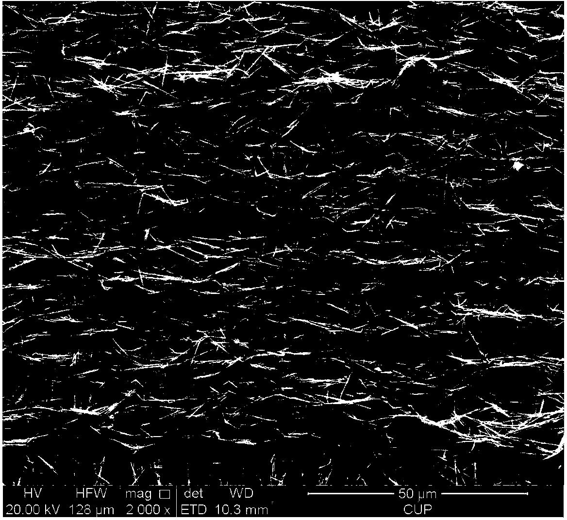 A substrate with magnetic nanowires being arranged on the surface and a preparation method of the substrate