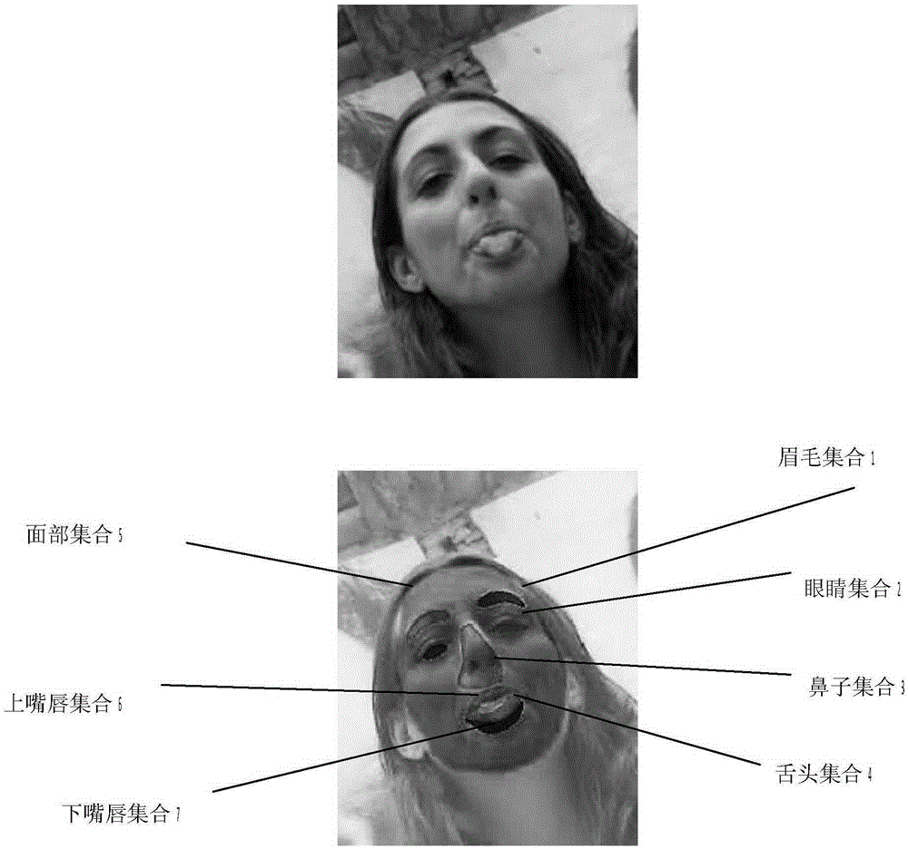 Full convolution network based facial feature positioning and distinguishing method and system