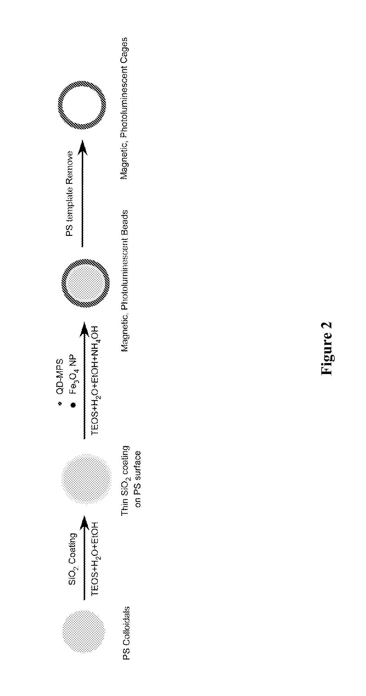 Quantum Dot Barcode Structures and Uses Thereof