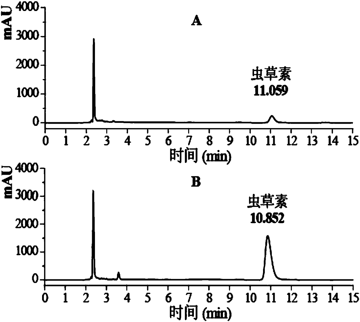 Cordyceps militaris mutant strain for obtaining high-yield cordycepin and application of cordyceps militaris mutant strain