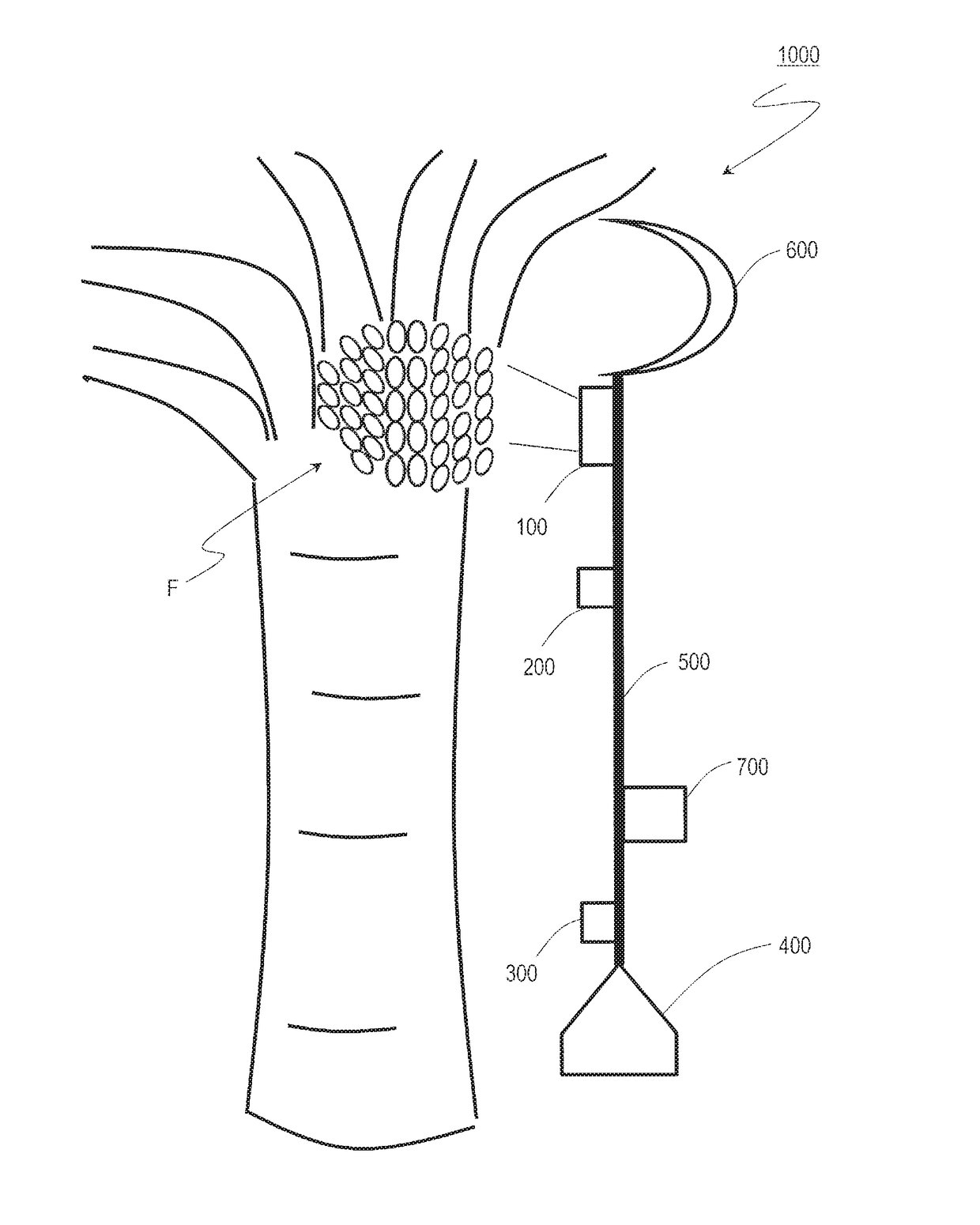 Fruit or vegetable product harvesting apparatus and fruit or vegetable product harvesting method