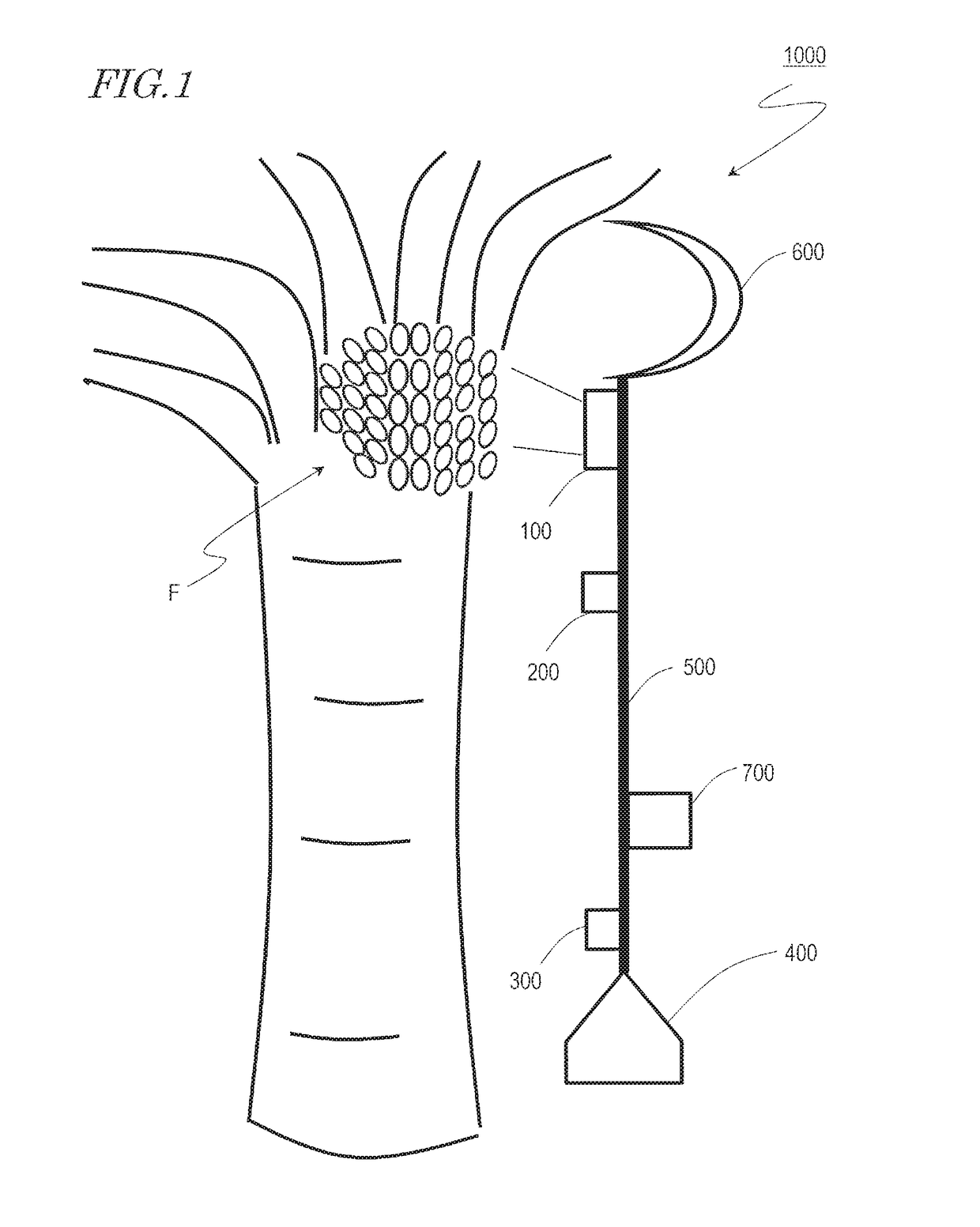 Fruit or vegetable product harvesting apparatus and fruit or vegetable product harvesting method