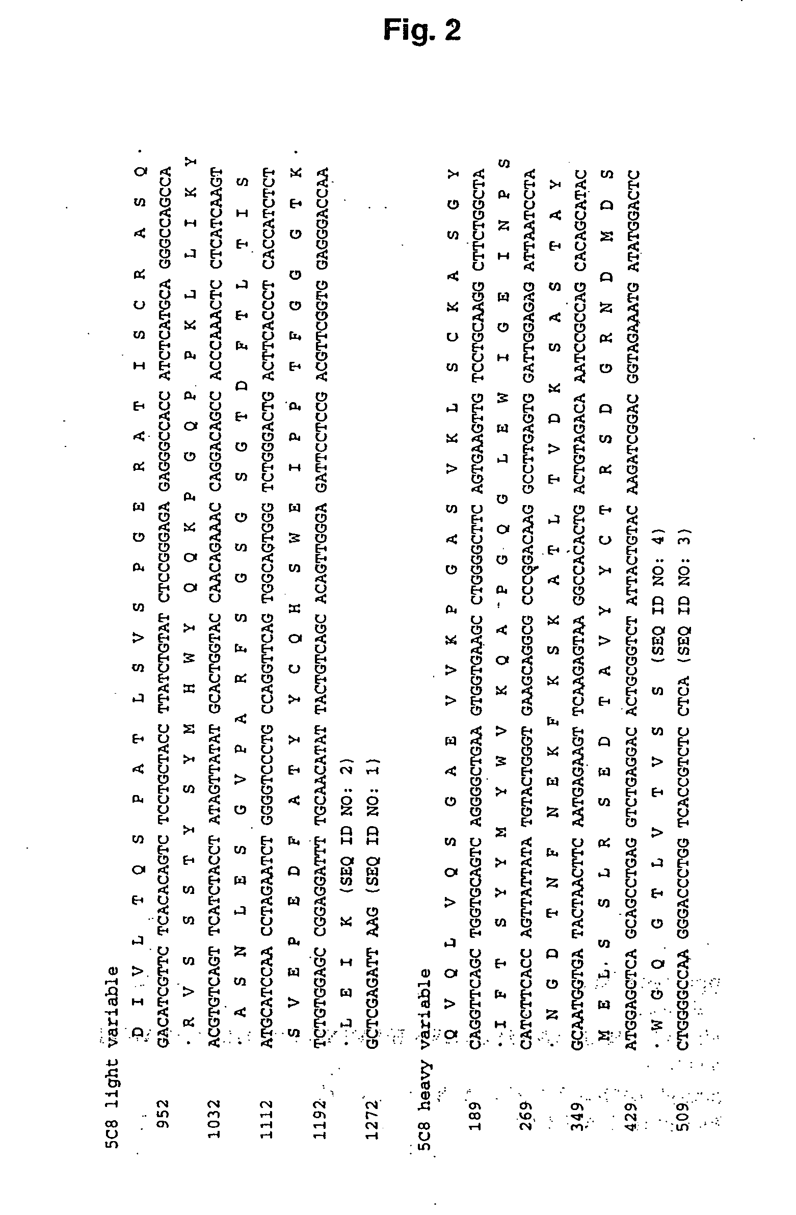 Altered antibodies having improved antigen-binding affinity