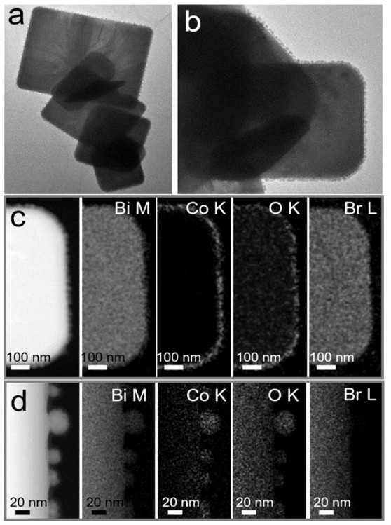 A method for suppressing photocorrosion of bismuth oxyhalide