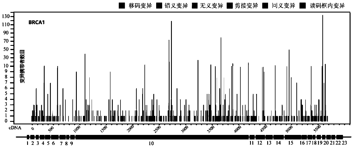 BRCA1/2 gene variation deciphering database and constructing method thereof