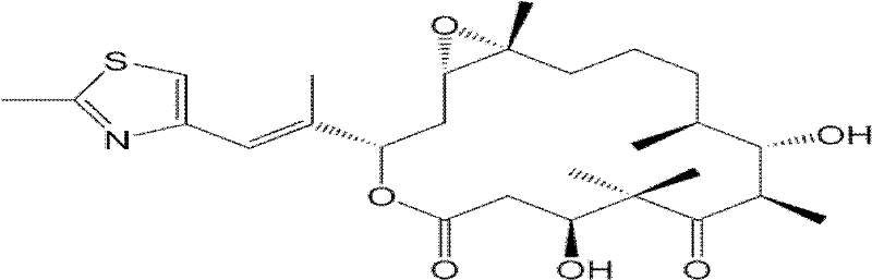 Biosynthesis method for improving yield of epothilone B