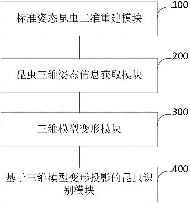 Insect identification device and method based on three-dimensional simulation