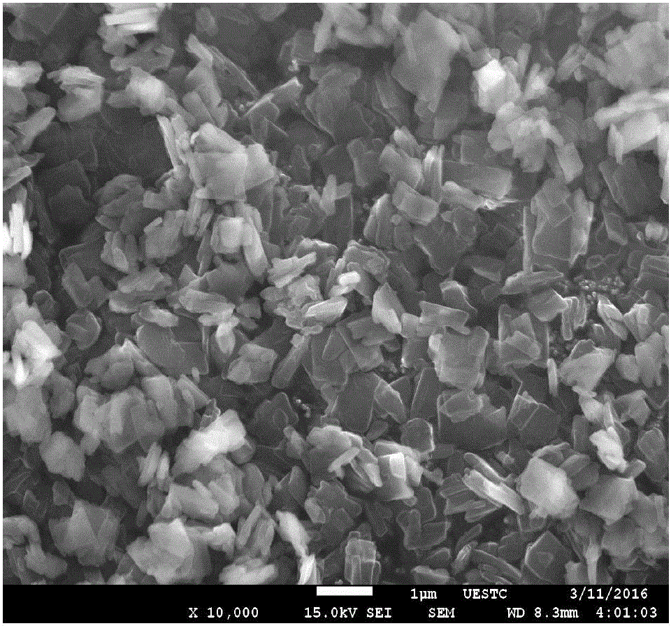 Preparation method of perylene pigment