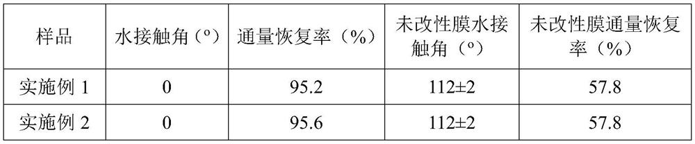 PGMA copolymer microsphere-polyethyleneimine coating modified polymer film and preparation method thereof