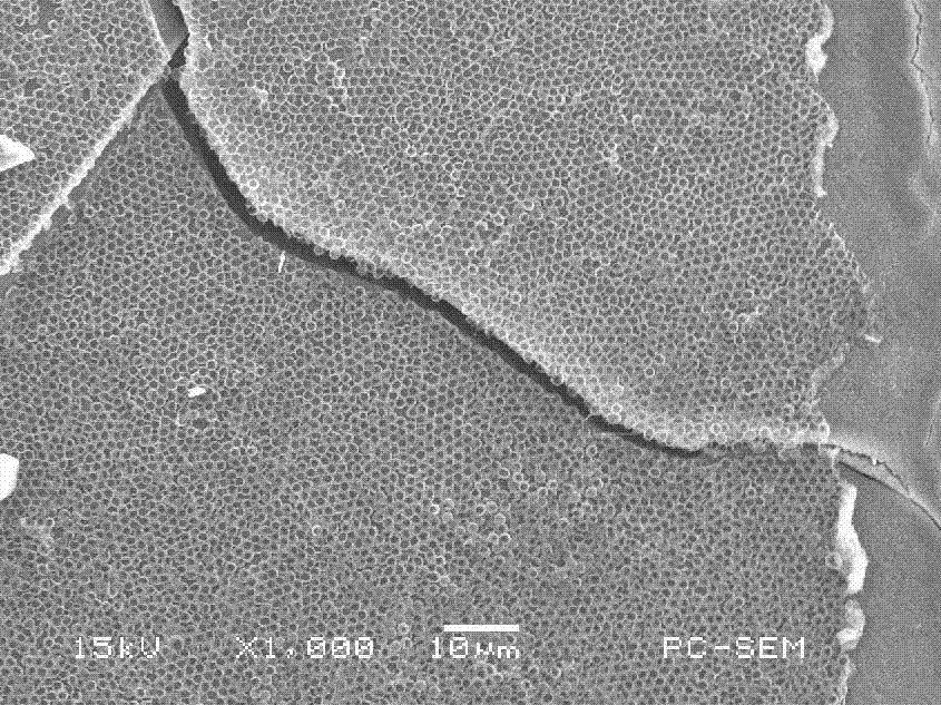 Method for preparing zno film with hierarchical structure porous array by electrodeposition method