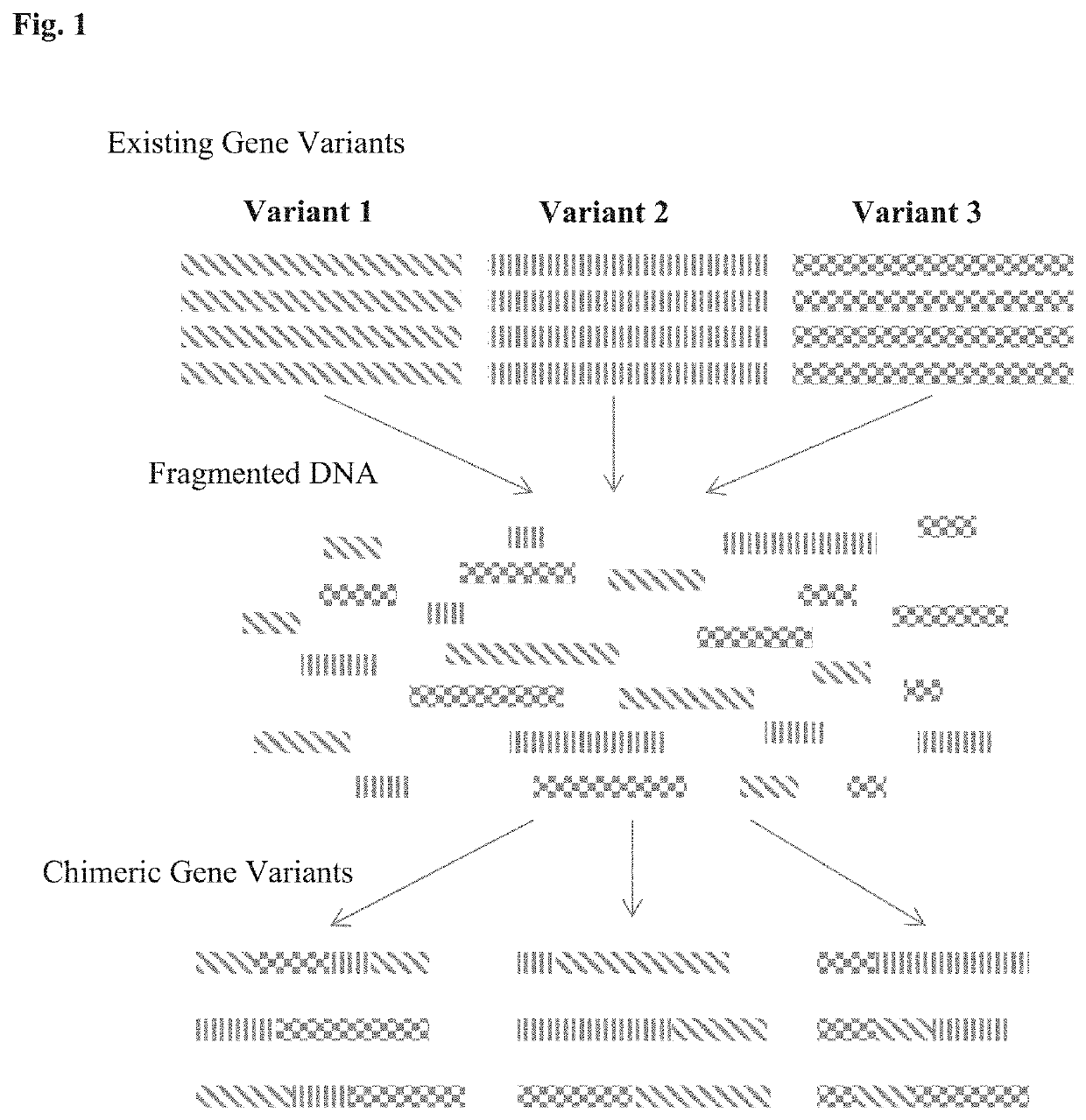 A htp engineering platform