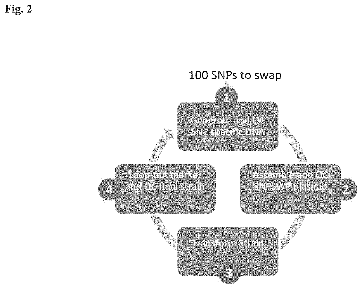 A htp engineering platform