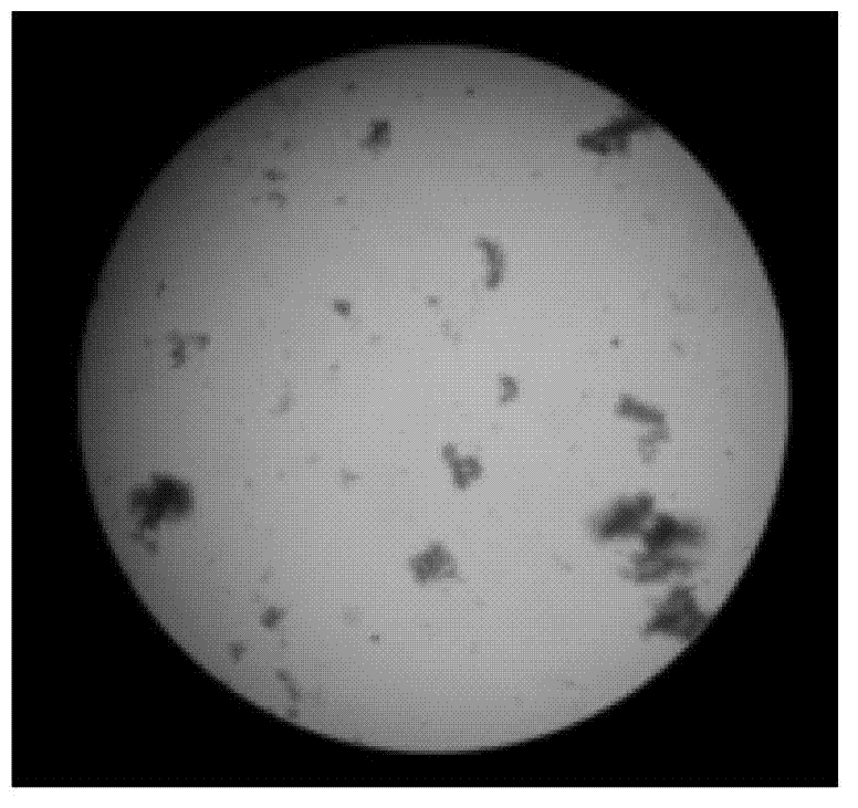 Biological compound flocculant and application thereof