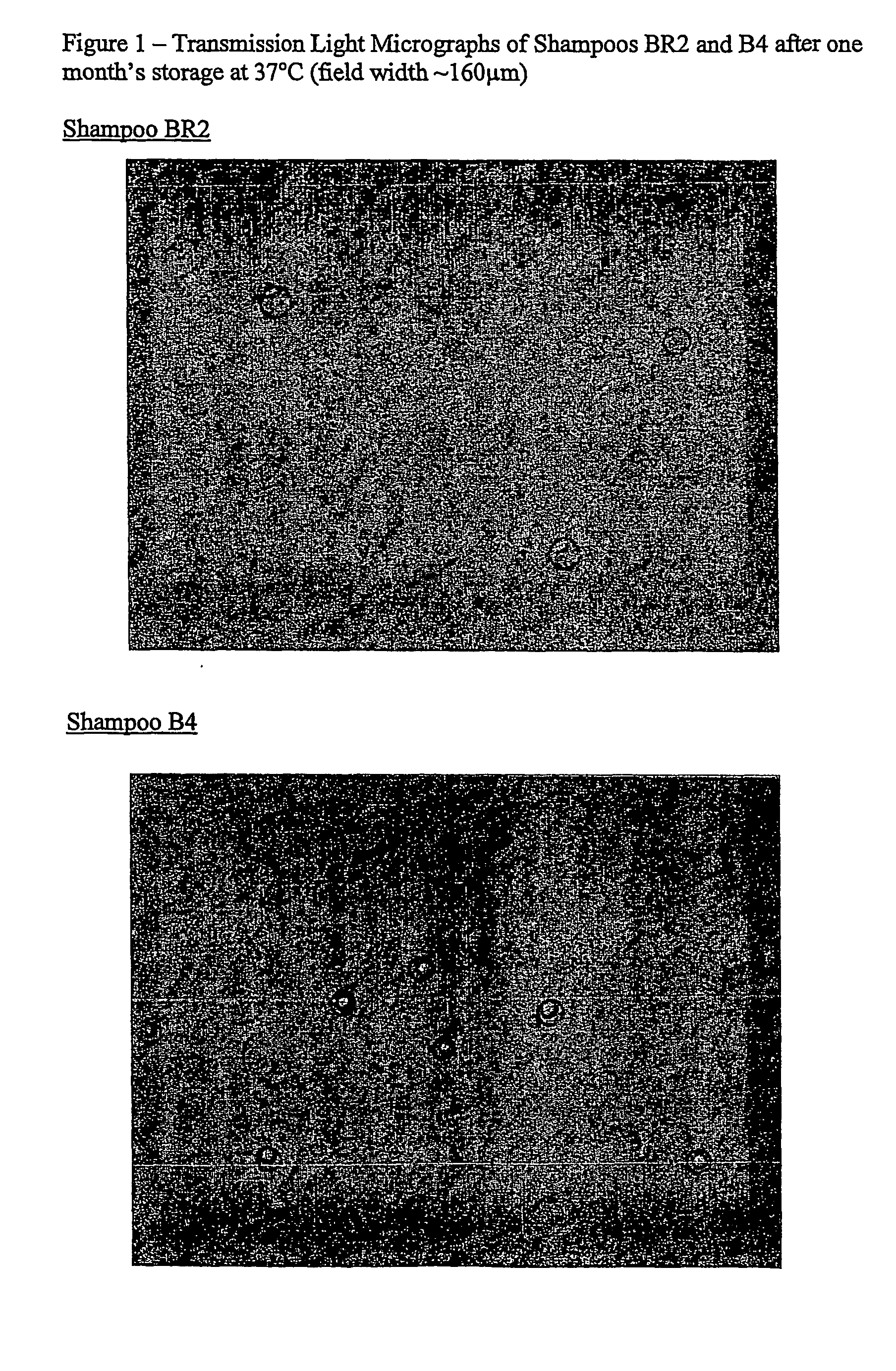 Compositions comprising encapsulated material