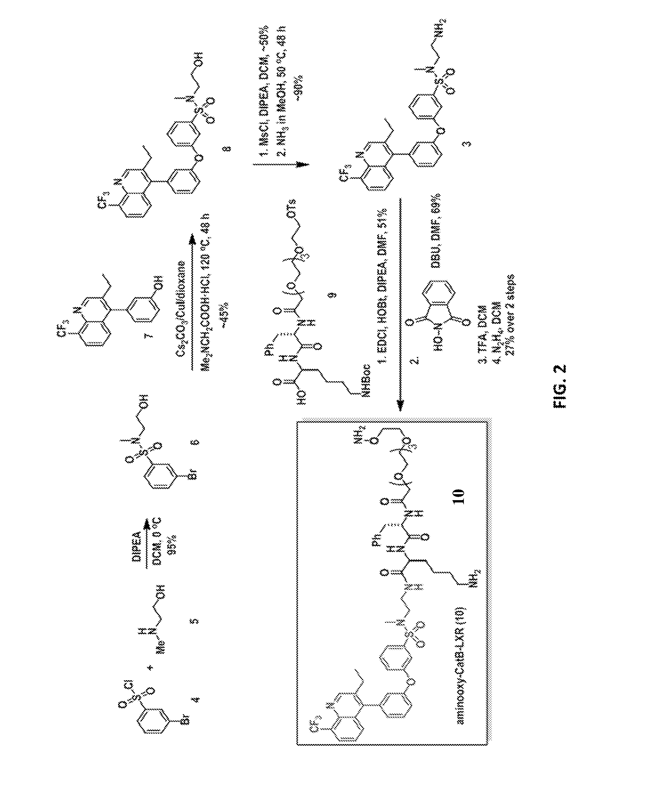 Liver x receptor agonists and uses thereof