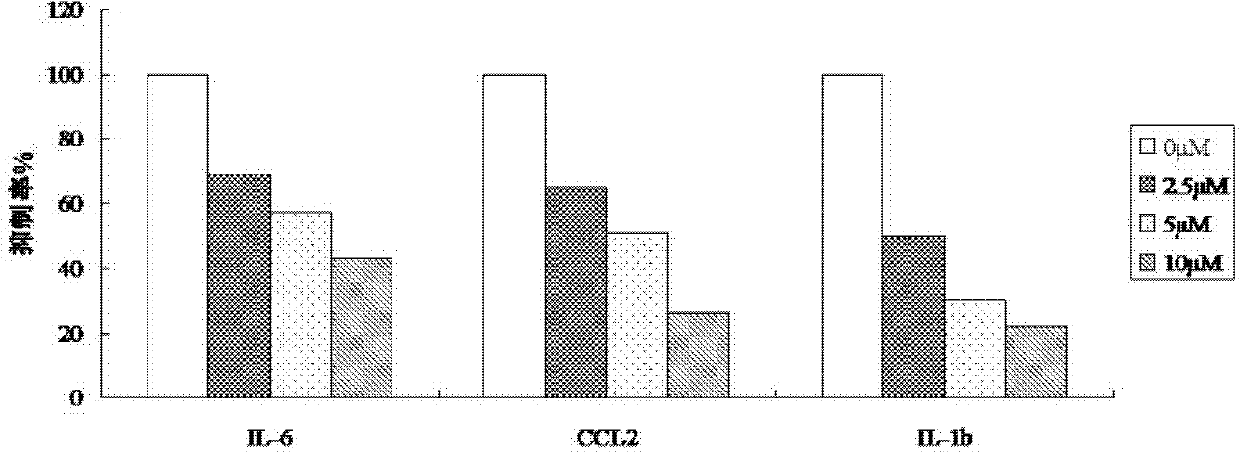 Application of bisbibenzyl compound to preparation of anti-inflammatory medicament