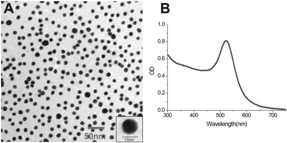 Kit for detecting methylation degree of DNA (Deoxyribonucleic Acid) based on gold nanoparticle probe as well as detection method and application of kit