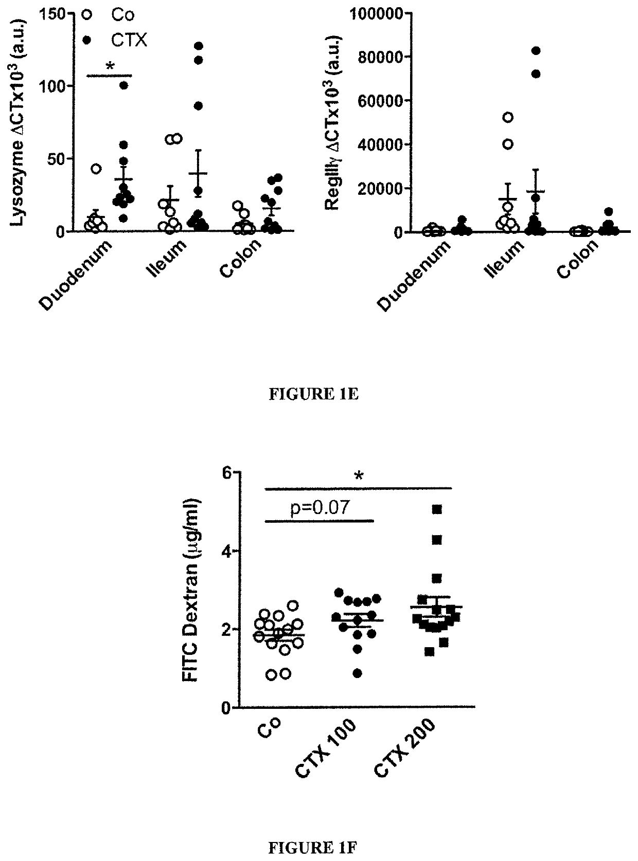 Microbiota composition, as a marker of responsiveness to chemotherapy, and use of microbial modulators (pre-, pro- or synbiotics) for improving the efficacy of a cancer treatment