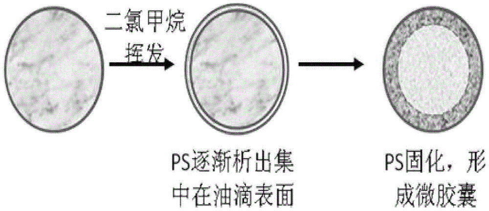 A kind of preparation, separation and purification method of latent curing agent microcapsules with temperature-responsive controlled release characteristics