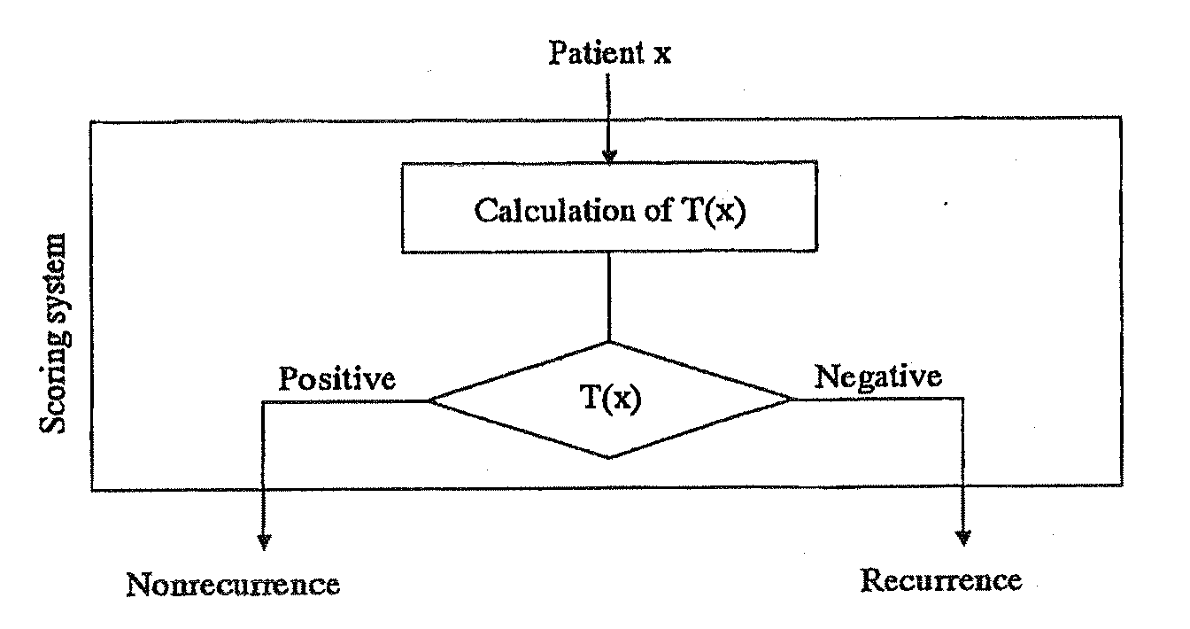 Scoring system for the prediction of cancer recurrence