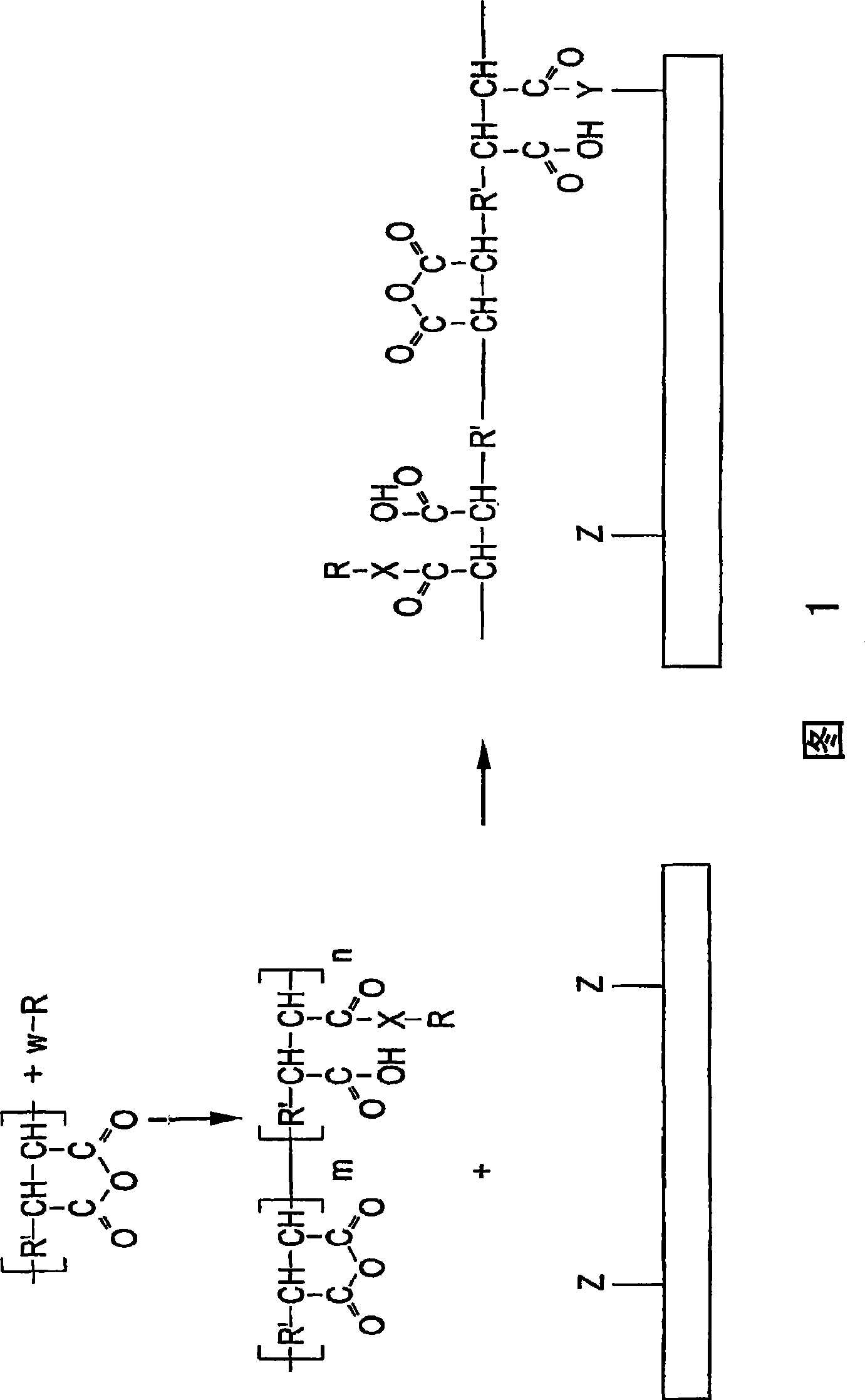 Supports for assaying analytes and methods of making and using thereof