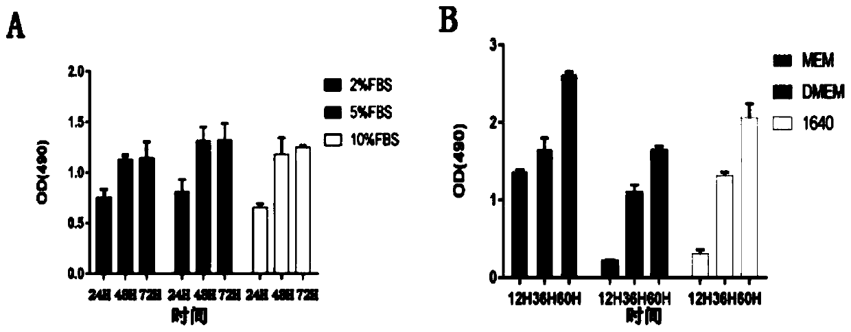 Pig tonsil cell line susceptible to JEV