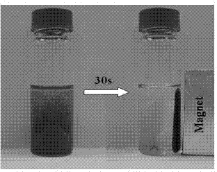 Magnetic microsphere resin with high specific surface area and preparation method and application thereof